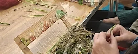 Norfolk Folklore, Weeds and Weaving, Halloween Special