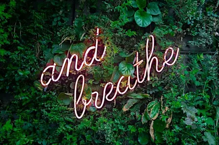Wellbeing and Resilience Workshop