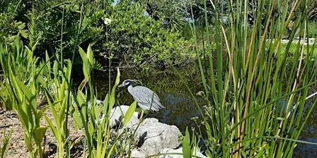 Designing Coastal Landscapes