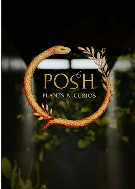 Plant BINGO at Posh Plants and Curios