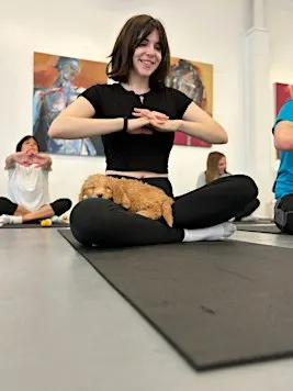Puppy Therapy Club: A Stress- Relieving Puppy Experience