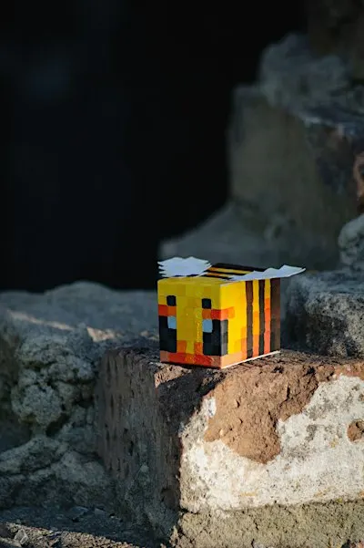 Coding - Bee Pollination, ages 8 to 12