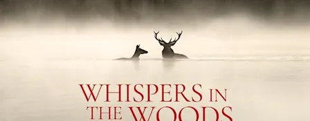 Whispers in the Wood