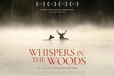 Whispers in the Wood
