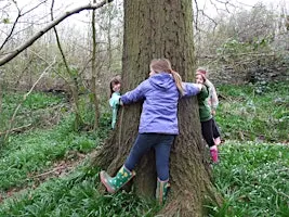 NWT Sweet Briar Marshes: Treemendous trees (family event)