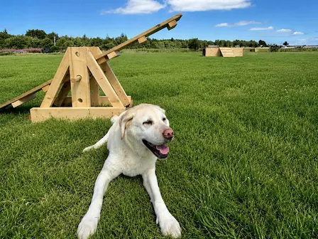 Culloden Visitor Centre Dog Park