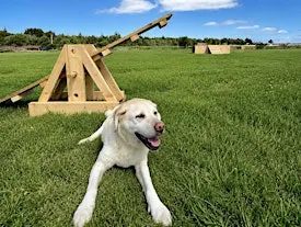 Culloden Visitor Centre Dog Park