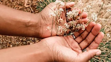 Plant Allies for Rest with Cozy Herb Co
