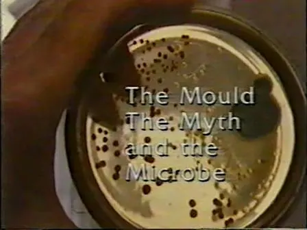 The Mould, the Myth and the Microbe cinema showing + Q&A