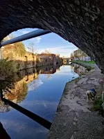 Heritage Cruise on the Sheffield and Tinsley Canal - 2hr