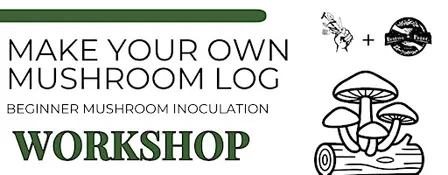 Make Your Own Mushroom Log: Beginner Mushroom Inoculation