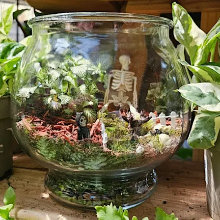 Spooky Terrarium Workshop