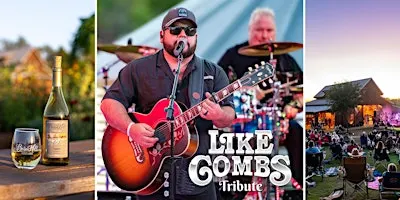 Luke Combs Hits Performed by Like Combs | Texas Wine | Anna, TX