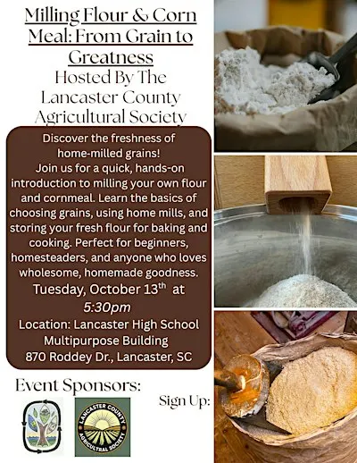 Milling Flour & Corn Meal: From Grain to Greatness