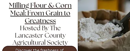 Milling Flour & Corn Meal: From Grain to Greatness