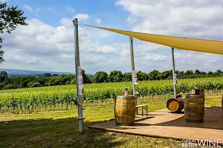 Run to Wine X Greyfriars Vineyard