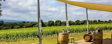 Run to Wine X Greyfriars Vineyard