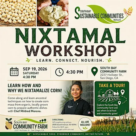 From Corn to Tortilla: A Traditional Nixtamal Workshop