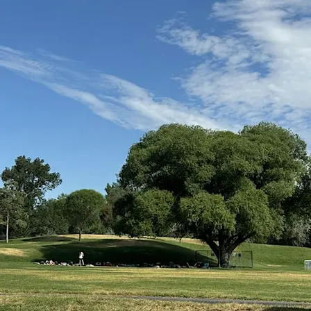 Saturday Morning Yoga at Draper Park