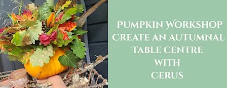Pumpkin Workshop - Create Pumpkin Table Centres with Cerus