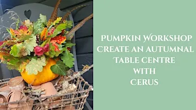 Pumpkin Workshop - Create Pumpkin Table Centres with Cerus