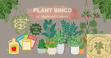 Plant Bingo at Stafford Cidery on 10.15.26