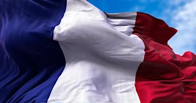 Garden Party at the Embassy of France (Orders Due 9 AM Saturday)