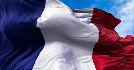 Garden Party at the Embassy of France