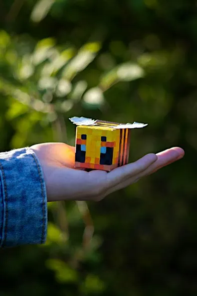 Coding - Bee Pollination, ages 8 to 12