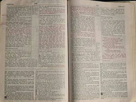 Springboro:  Luke 6