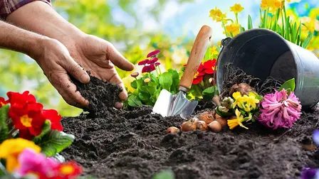 Gardening Group