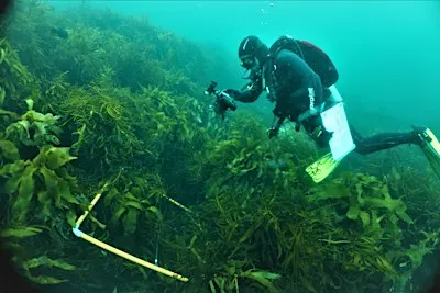 HOBART FORUM: Reef health in the D'Entrecasteaux Channel