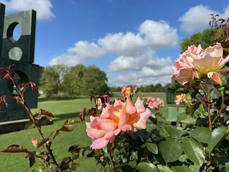 Churchill College Garden Tour