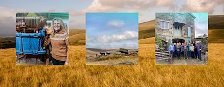 Your Future Museum: A Dartmoor Walkshop