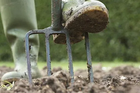 Preparing the Ground – Gardening Workshop