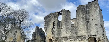 Learn Foraging at "the ruins" in stunning Minster Lovell inc. foraged lunch