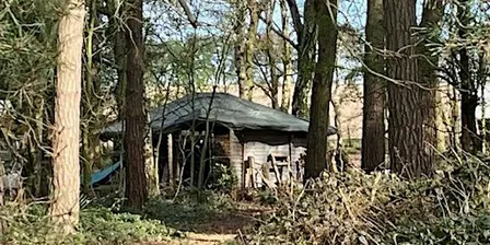 November Woodland Drumming Circle