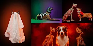 Howl-O-Ween: Creative Dog Photography Workshop - Los Angeles