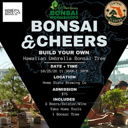 Bonsai & Cheers at Home State Brewing | Hawaiian Umbrella Bonsai Workshop