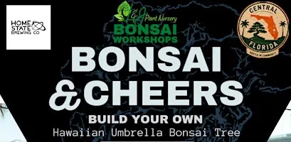 Bonsai & Cheers at Home State Brewing | Hawaiian Umbrella Bonsai Workshop