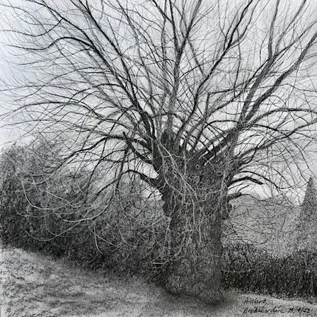 Stories from the Black Poplars