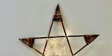 Willow Star