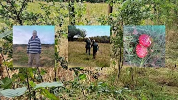 Ecology walk: An Appreciation of Hedges and Small Woodlands