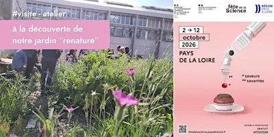 Visite et atelier(scolaires) : renaturer et recréer des écosystèmes vivants
