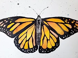 Watercolor Monarch Butterfly