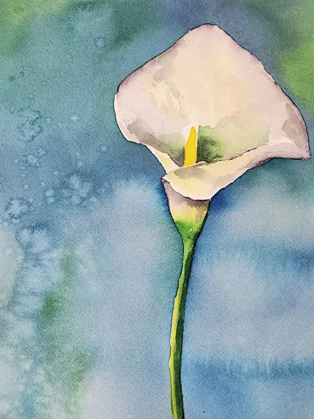 Watercolors for Beginners: Calla Lily