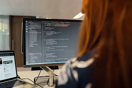 Transform your Business (Digital Tools, Automation + AI Adoption)