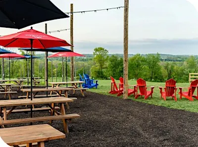 Warwick Farm Brewing and Heroic Gardens Charity Cornhole Tournament