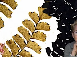 Herbarium | Plants in a New Light