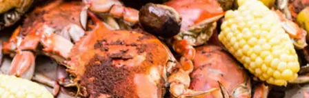 Sunday Crabs on the Bay